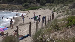 Neteja de platges del Dia mundial del Medi Ambient
