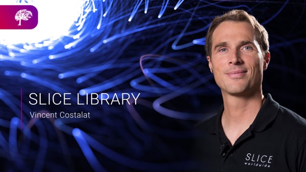 LIBRARY Vincent COSTALAT - Chronic ischemia