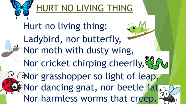 HURT NO LIVING THING