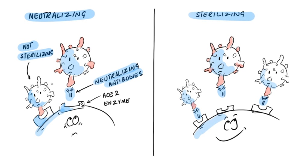 Vaccines and Variants (Neutralizing Antibodies vs., Binding Antibodies)