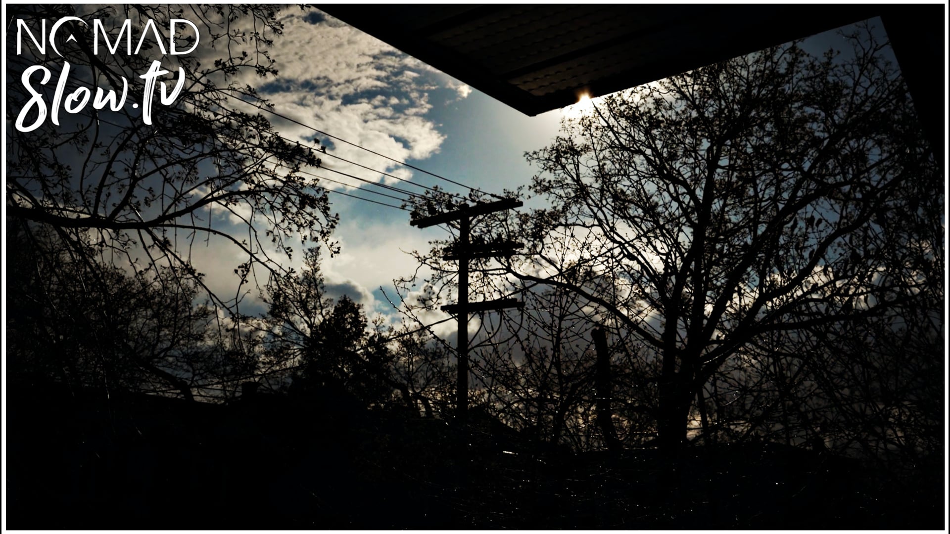 Spring Rain - szilárd - Spokes - 02 - spokes 222