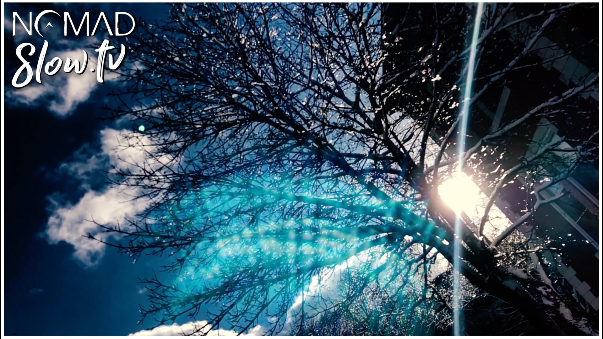 Jeremy Young & Aaron Martin - A Pulse Passes from Hand to Hand - 02 A Pulse Passes from Hand to Hand II