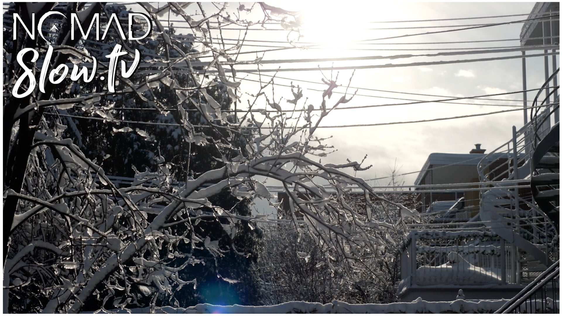 Poirier - Sous le manguier - 13 - La cueillette des petits sons