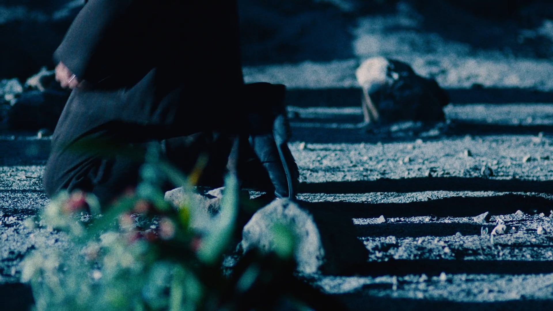 【DP】Macaroni pencil_hashirigaki