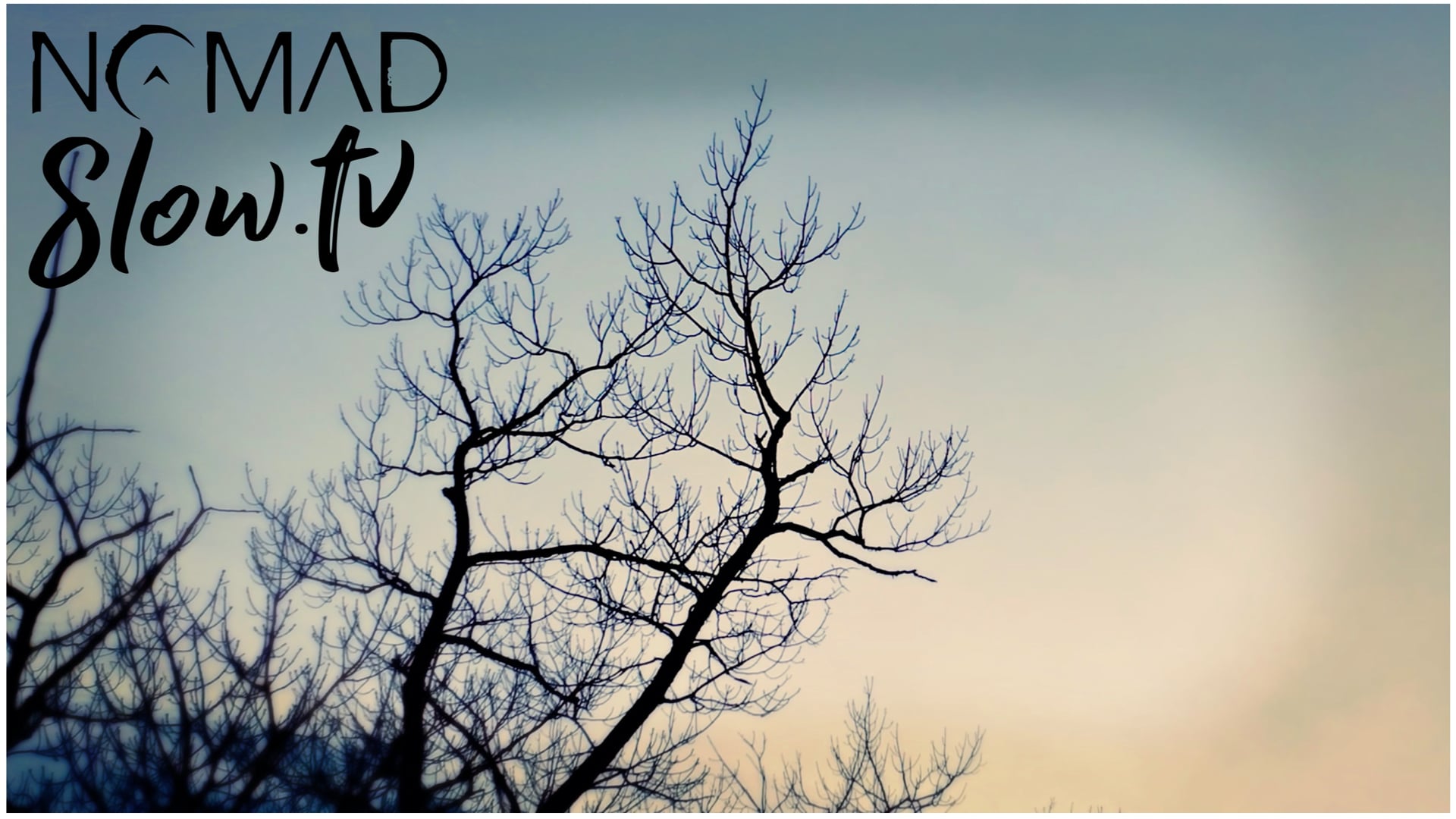 Vitality - Benjamin Martins