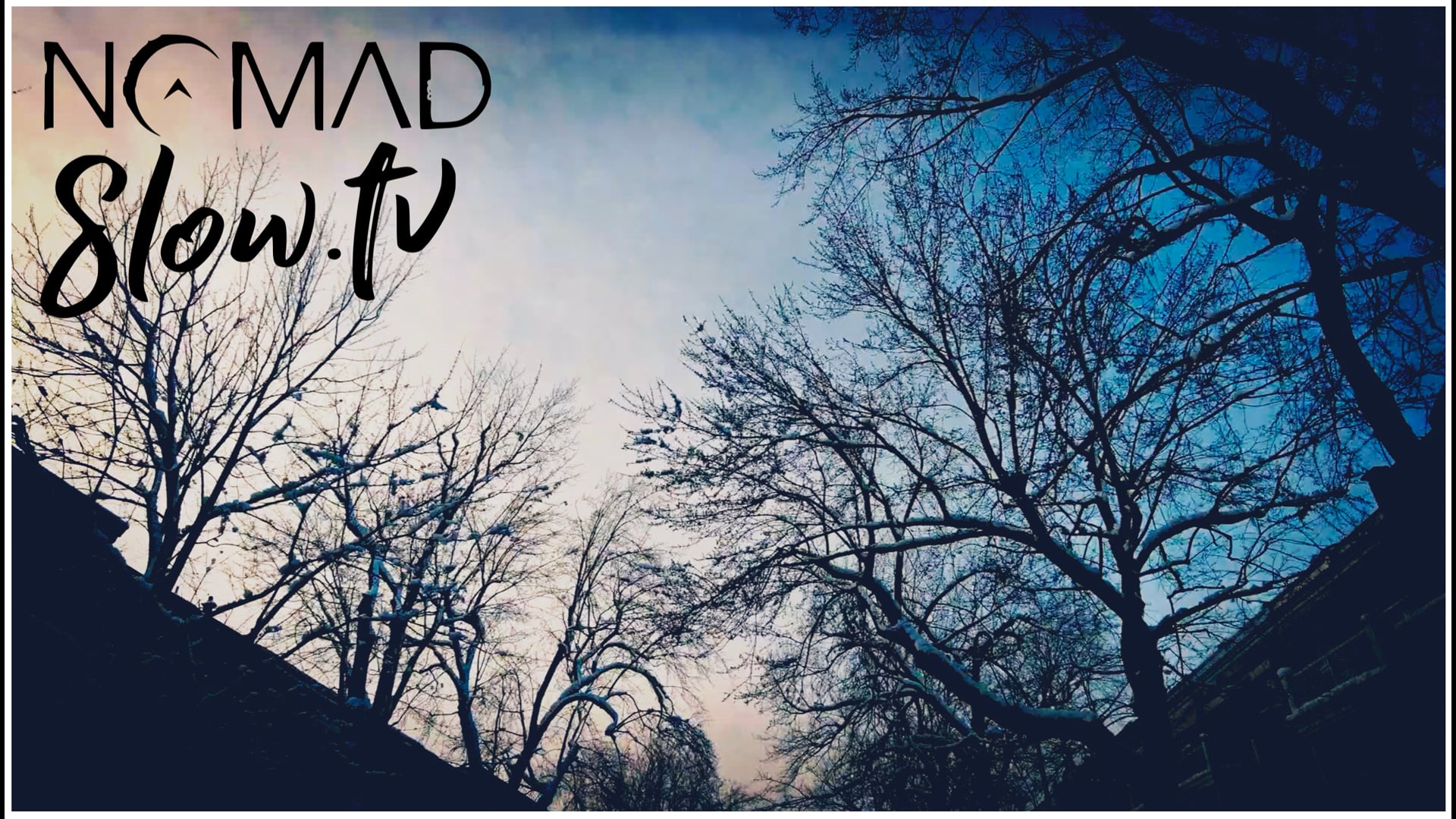Drive Home Sky | The Sea Captain & The Mermaid - Asher Fulero