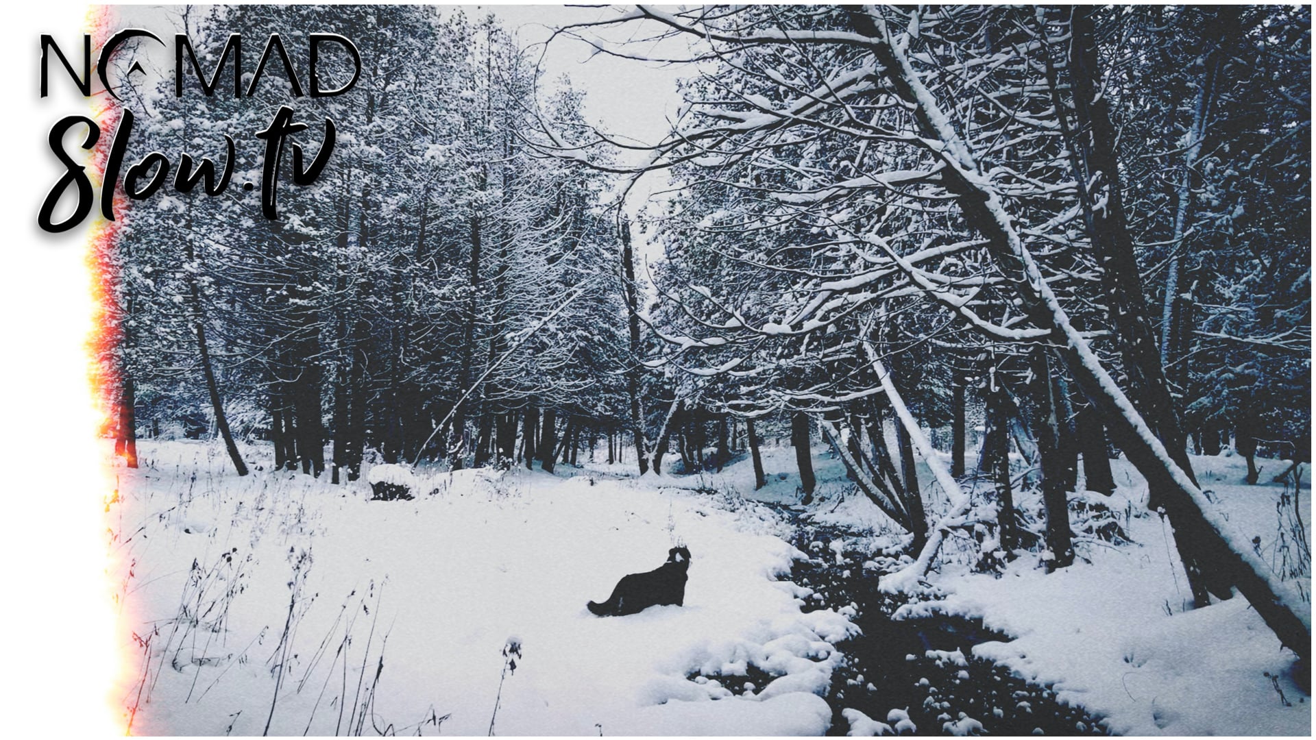 Call of the Wild | Mer-Ka-Ba by Jesse Gallagher