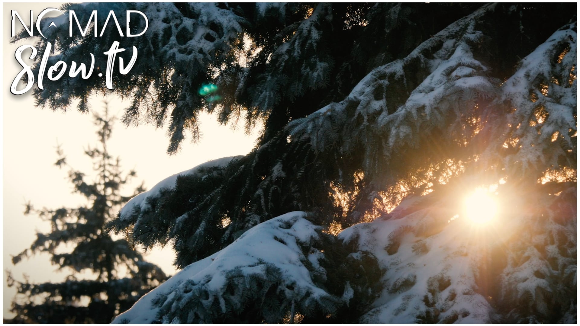 Montreal Winter Trees | Satya Yuga - Jesse Gallagher