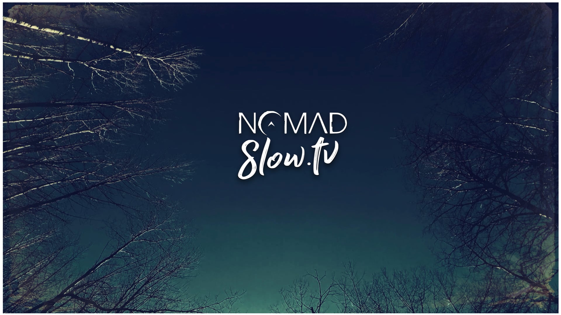 Dog's Hunting Eye | Lately Kind of Yeah - Hunting Eye