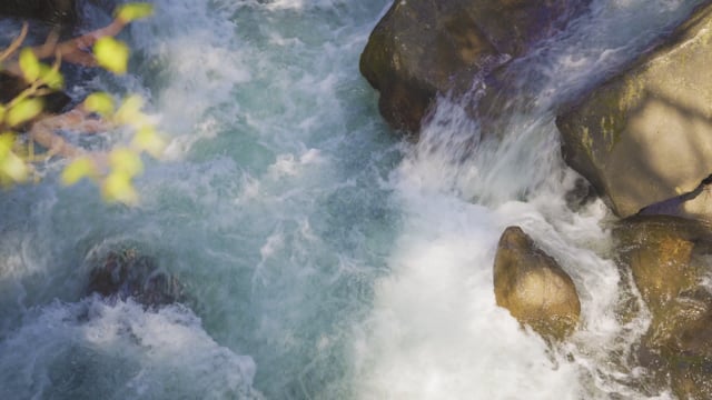美しくも力強い日本渓流｜Japan river