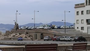 Ple ordinari de juny