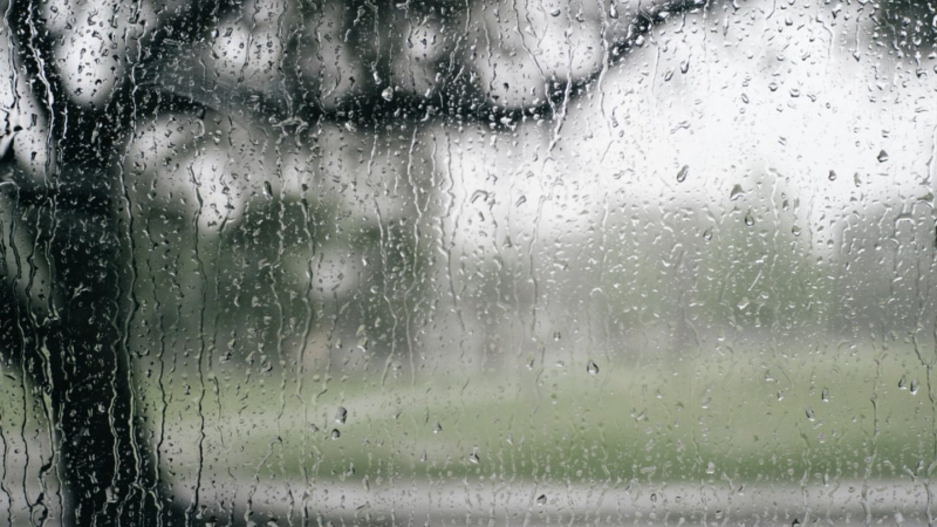 On Wednesday I Asked Thor for Rain by Mordecai