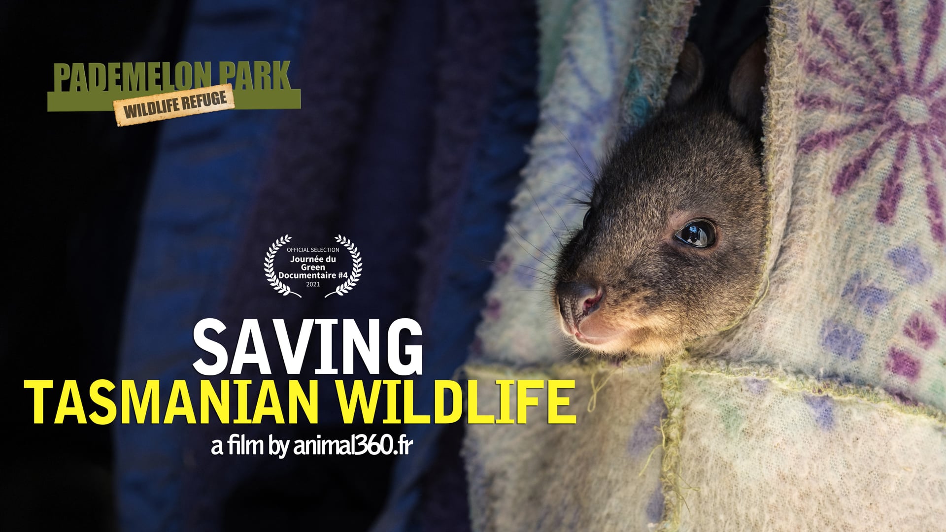 Pademelon Park wildlife refuge : Saving Tasmanian Wildlife