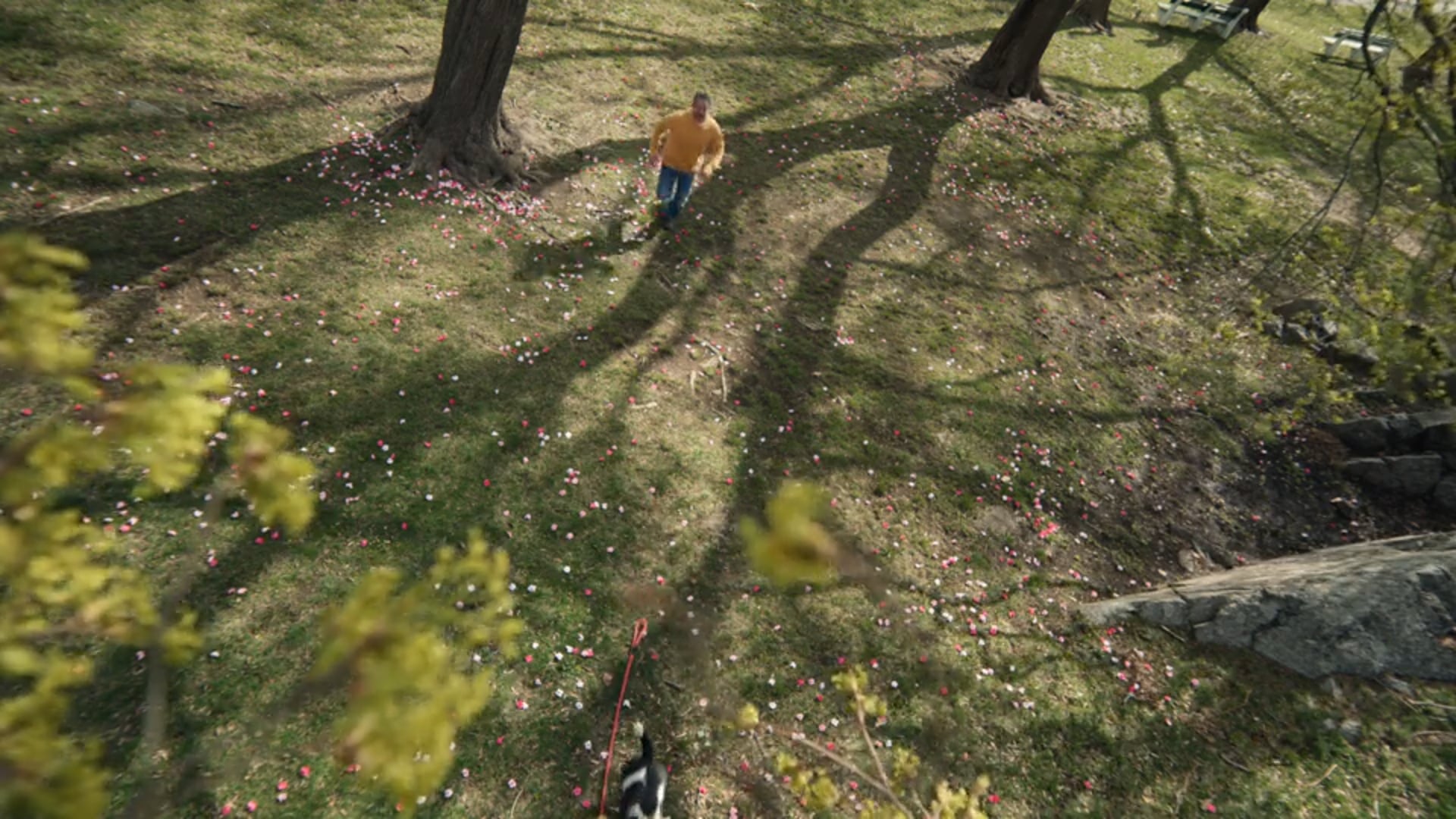 Stop & Shop | Anthem