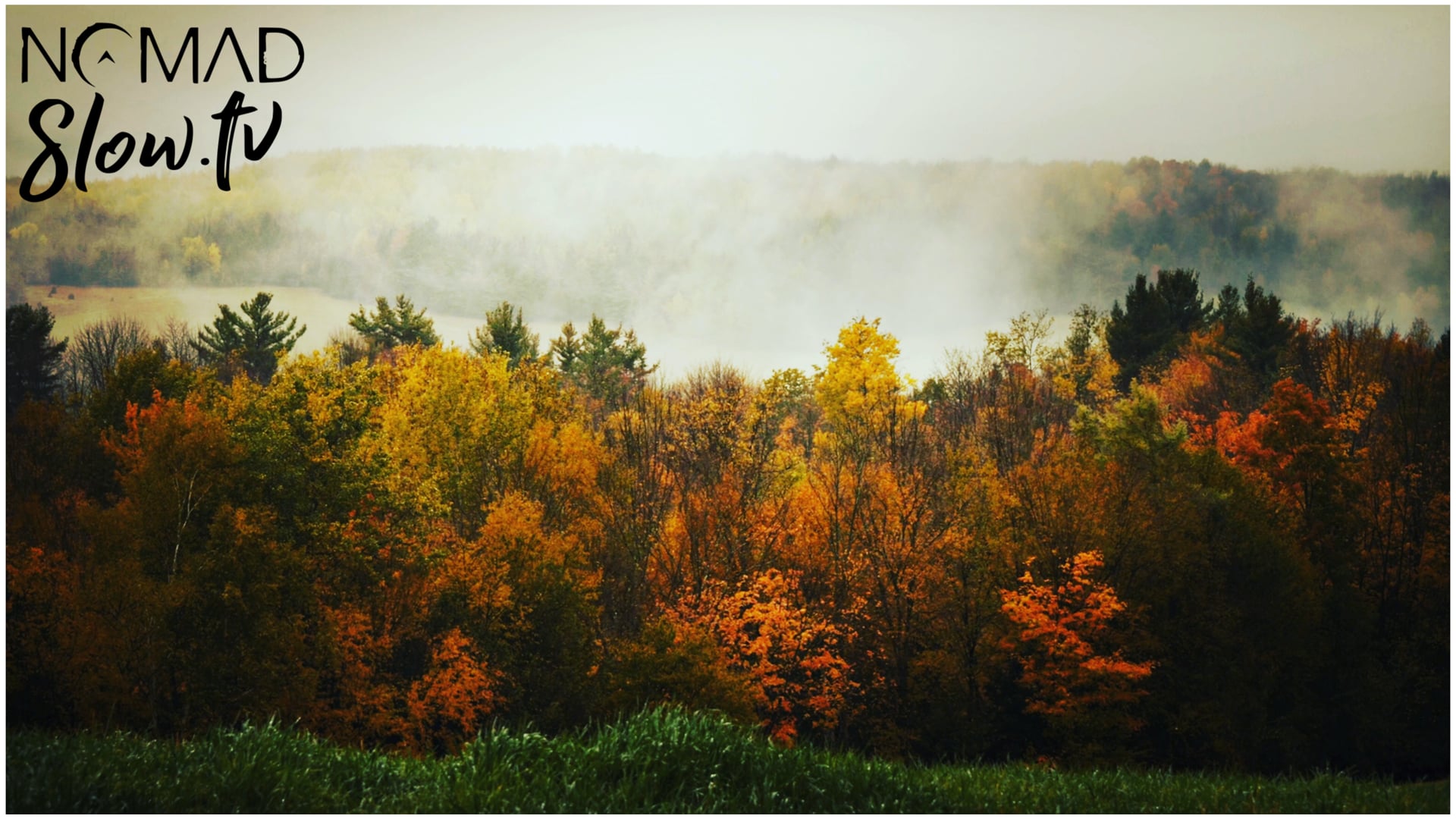 Stanstead Ambient Autumn