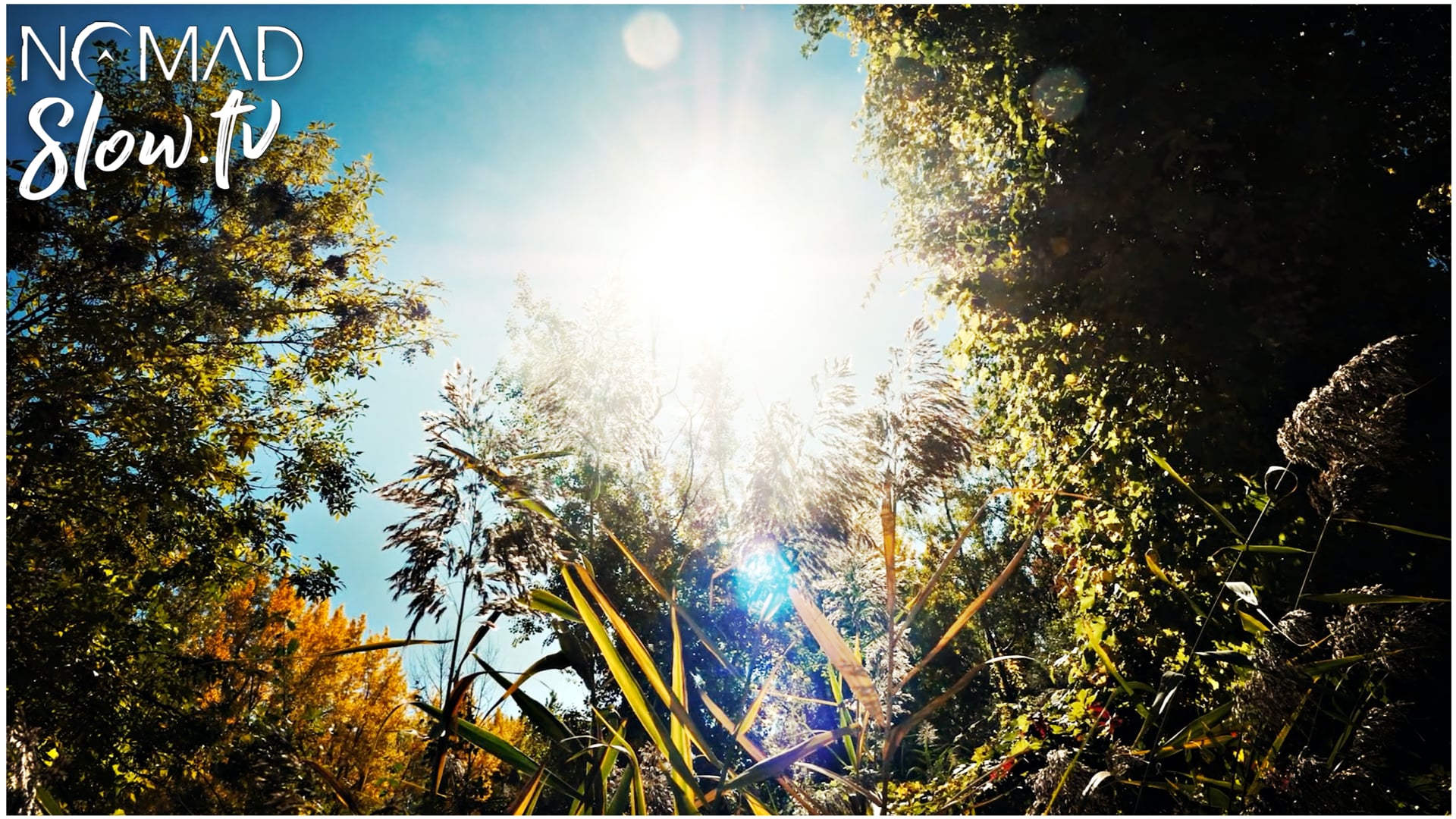 Autumn Walk in the Woods  Kevin MacLeod