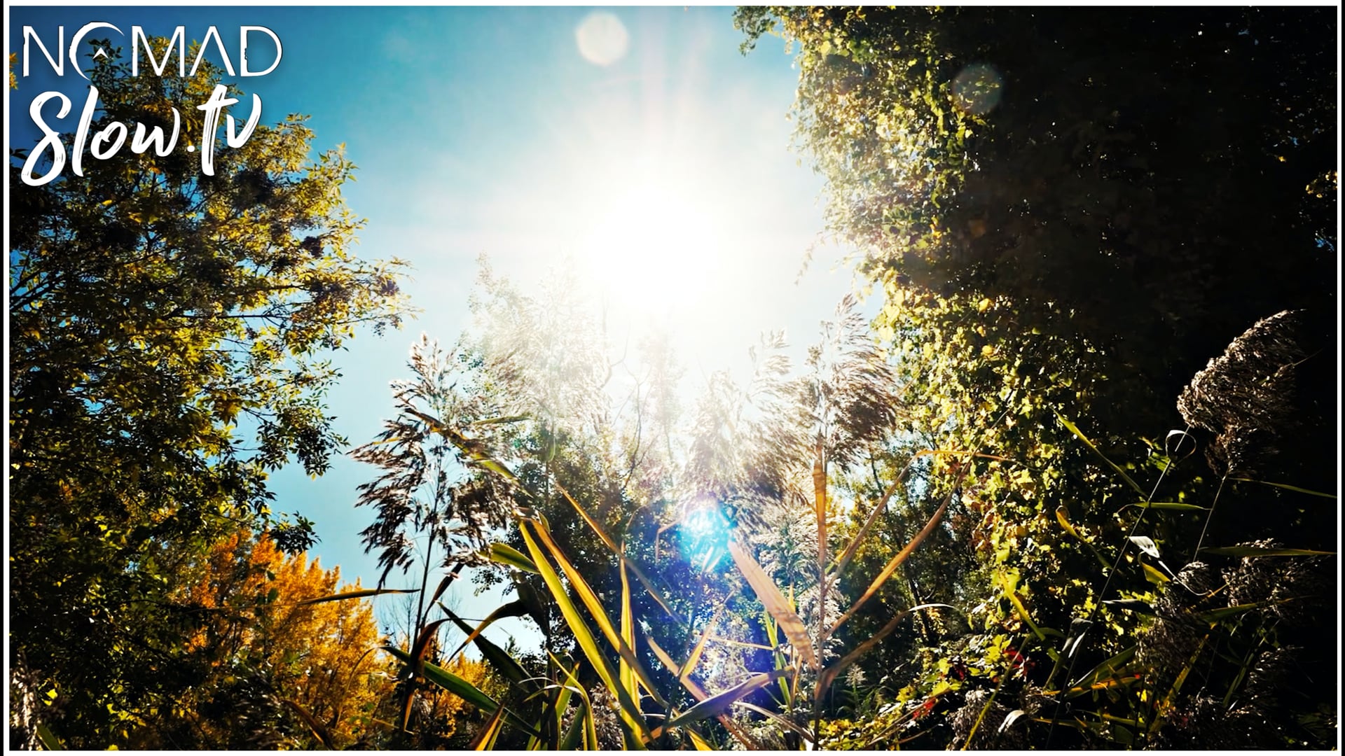 Autumn Walk in the Woods  Kevin MacLeod