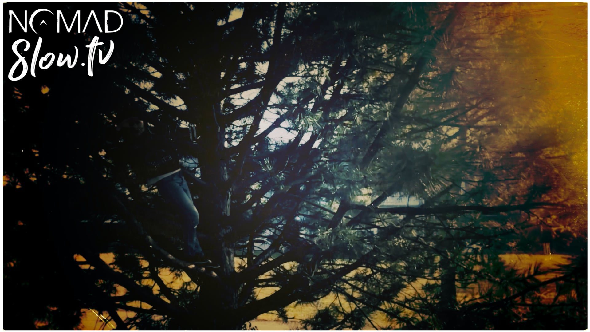 Blear Moon - Recalling  AliX tree climbing