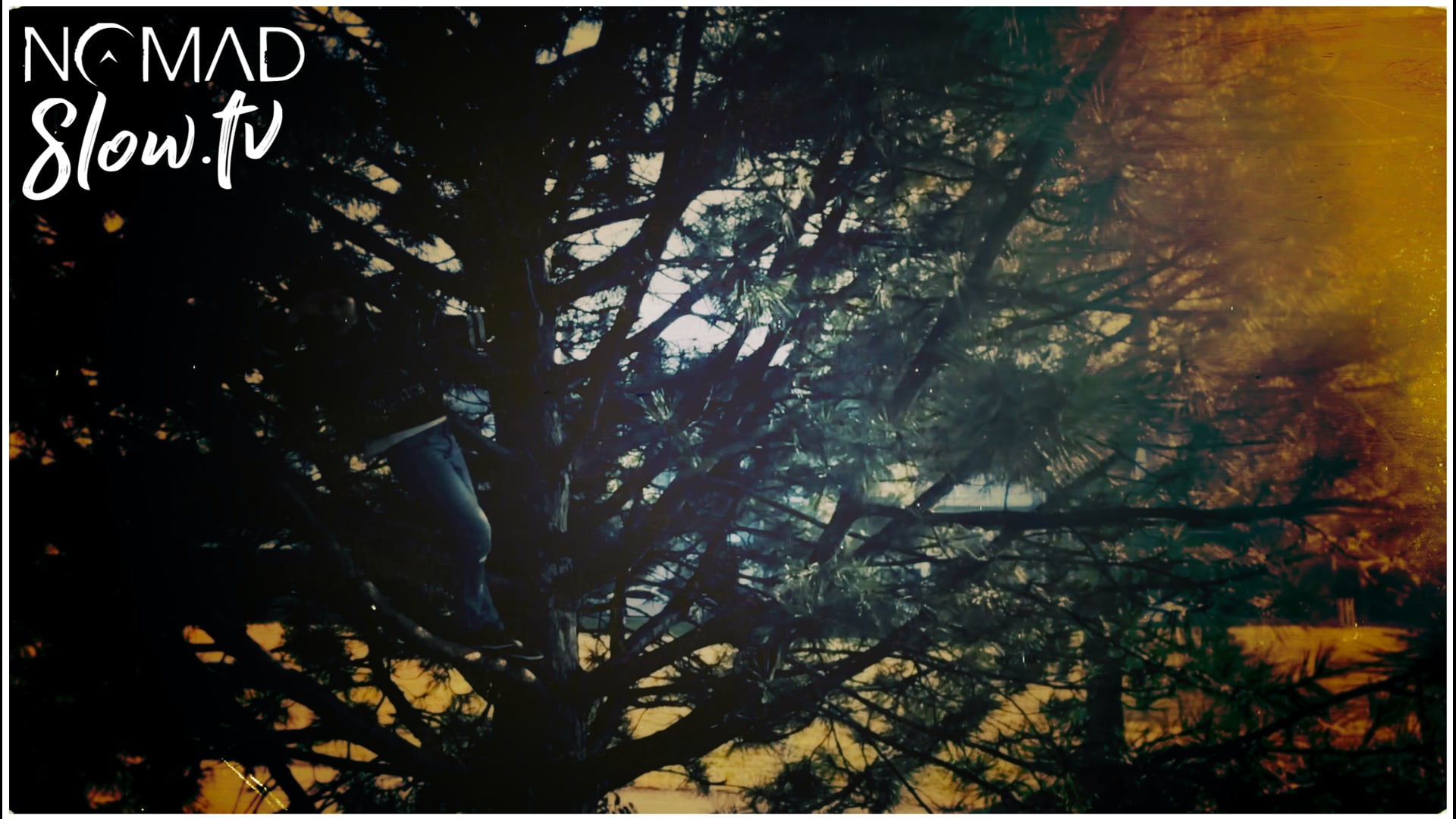 Blear Moon - Recalling  AliX tree climbing