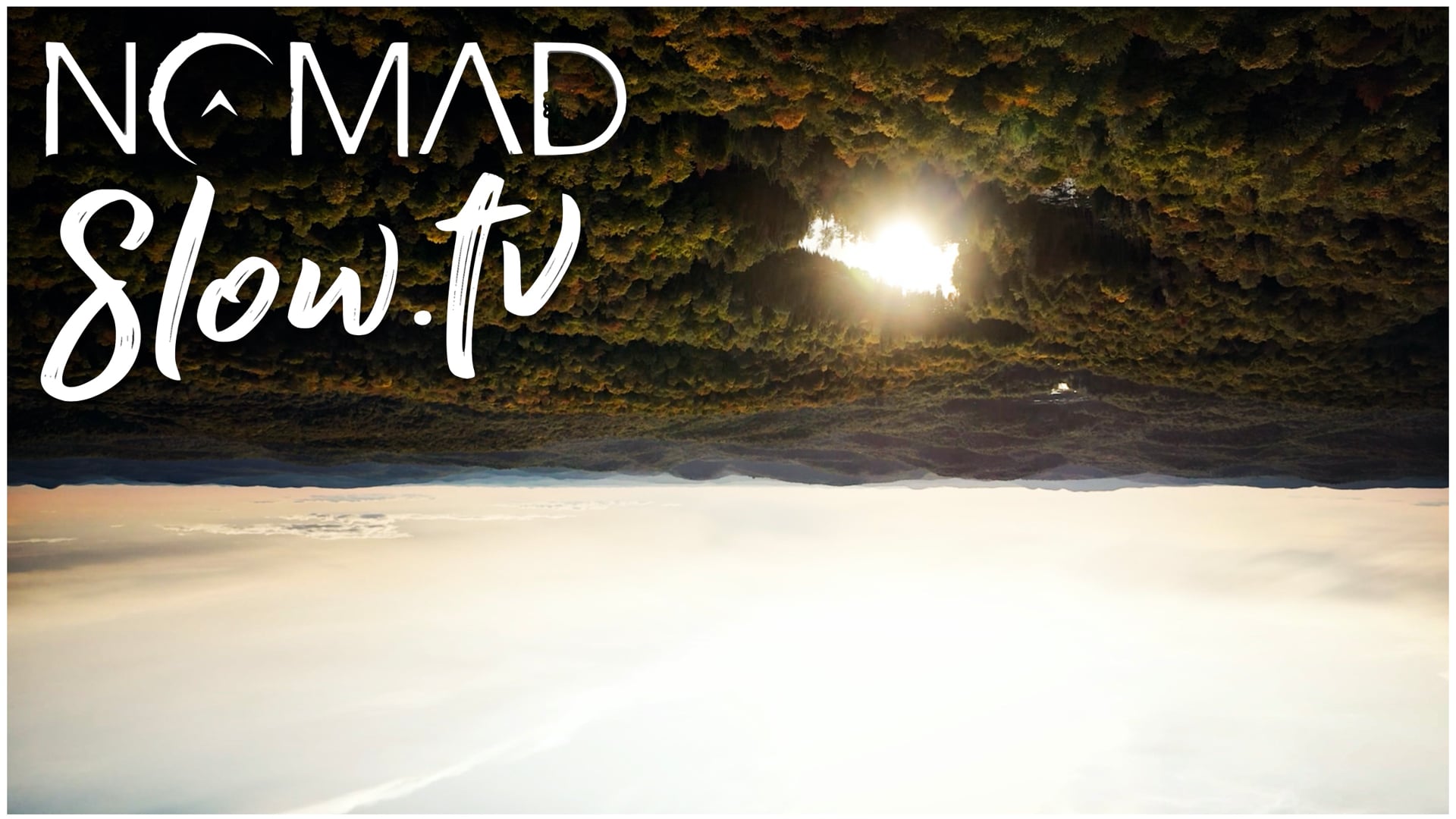 Vedic Forest Academy - Blear Moon