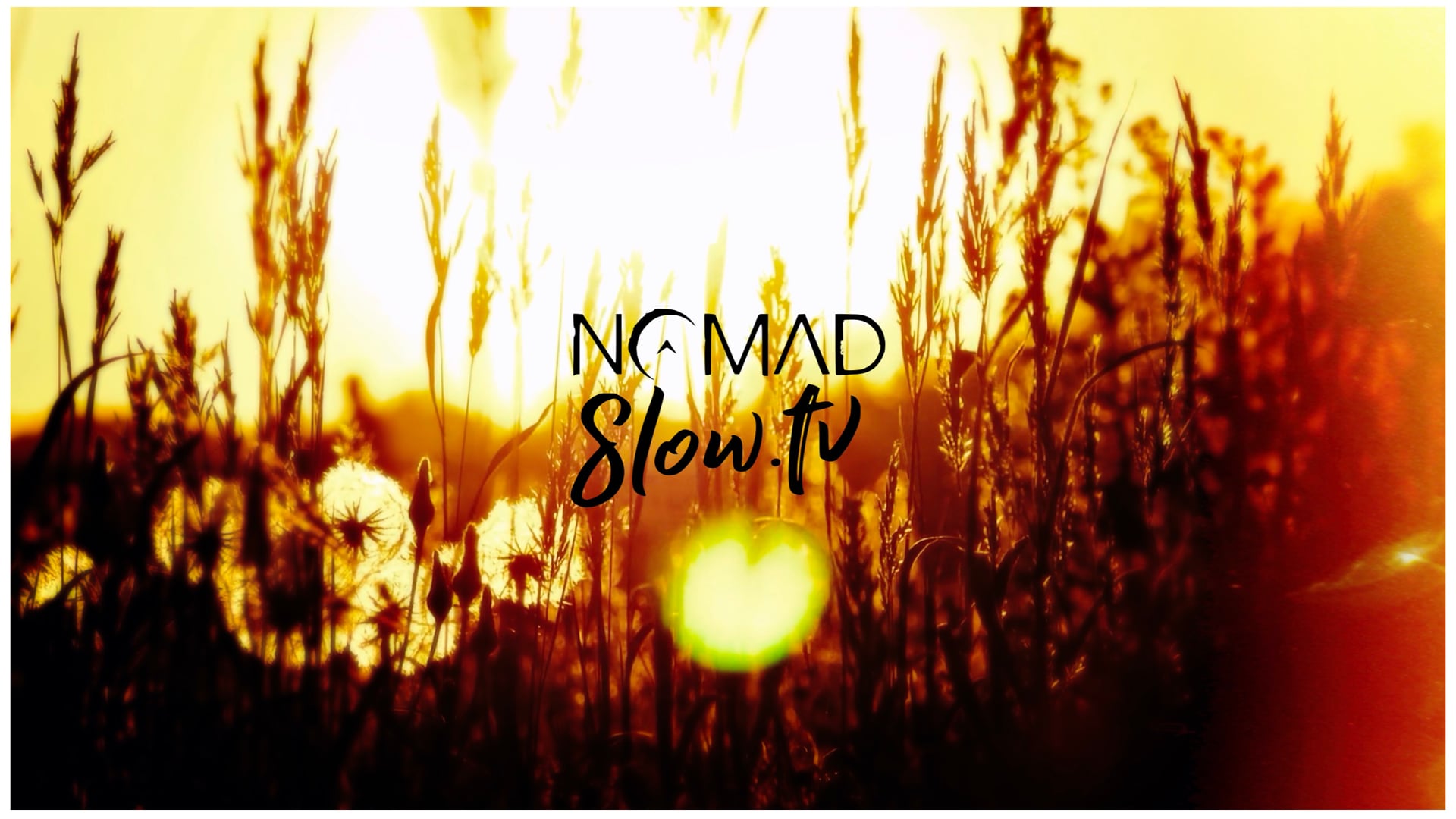 Montreal Sunset by Jason Rodi - take off and shoot a zero by chris zabriskie