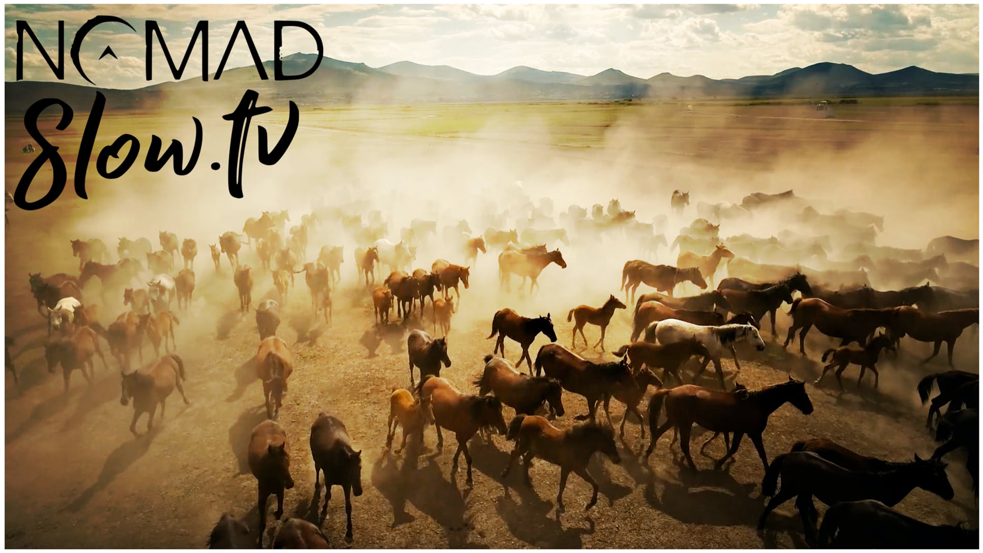 Horses - The Life and Death of a Certain K Zabriskie Patriarch by Chris Zabriskie