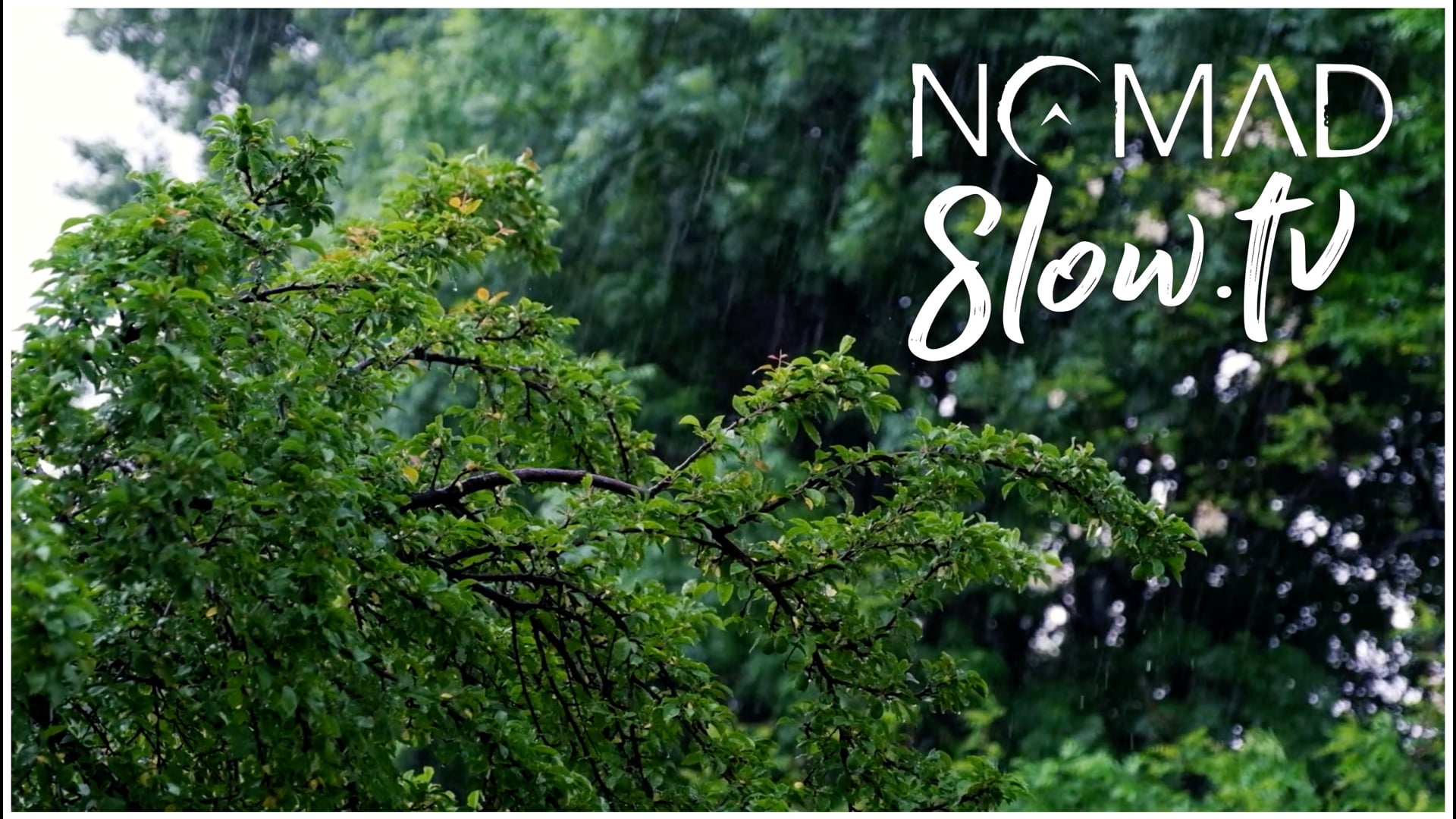 Rain Slow TV