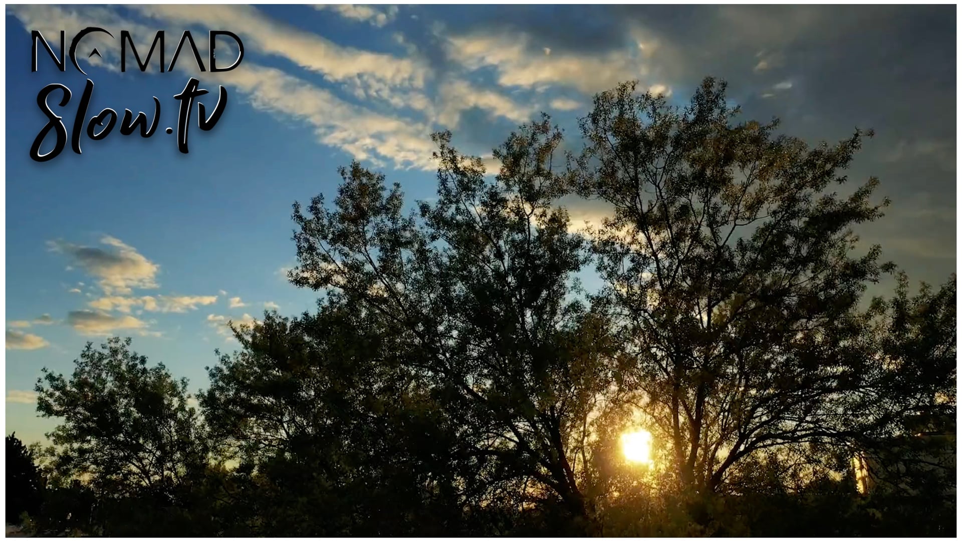 I Don't See the Branches I See the Leaves - Chris Zabriskie