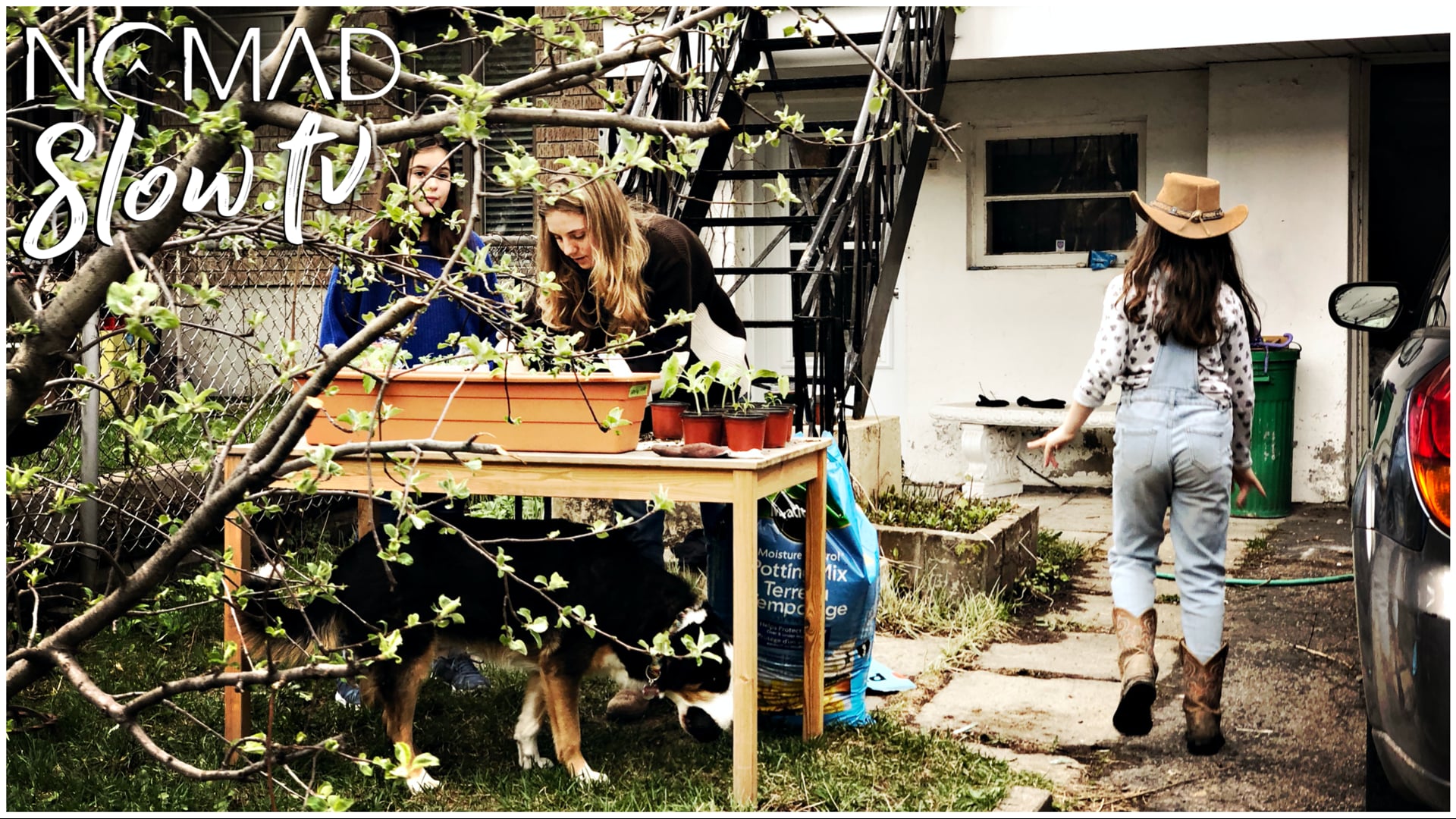 Gardening with Charlotte on NOMAD slow TV | relax, meditate, rest, chill