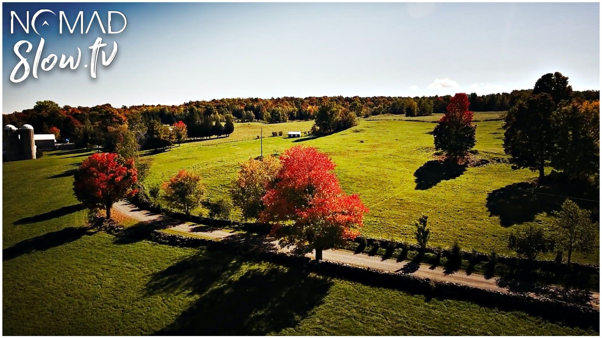 Autumn Leaves by Heli Drone Images
