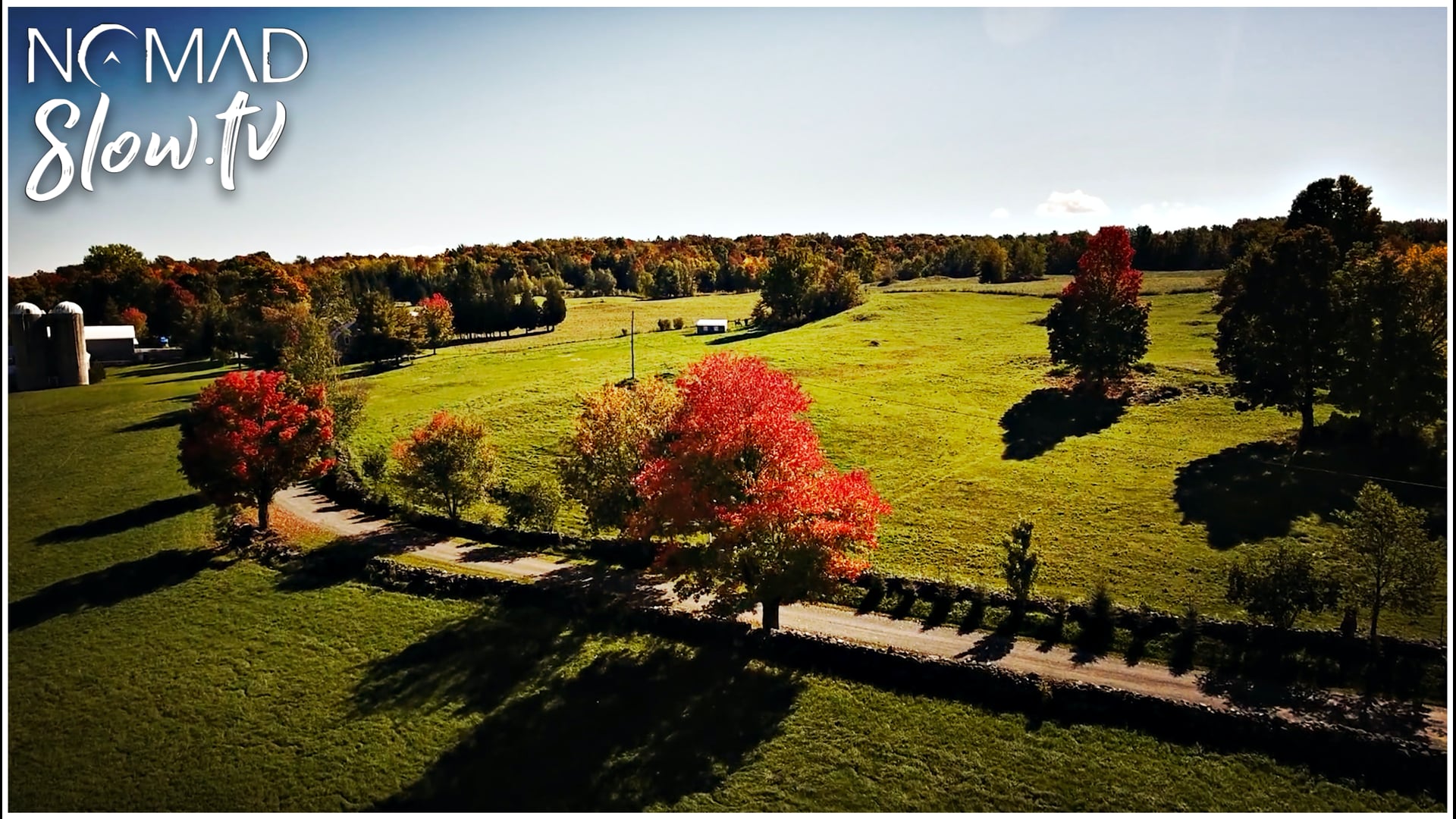 Autumn Leaves by Heli Drone Images