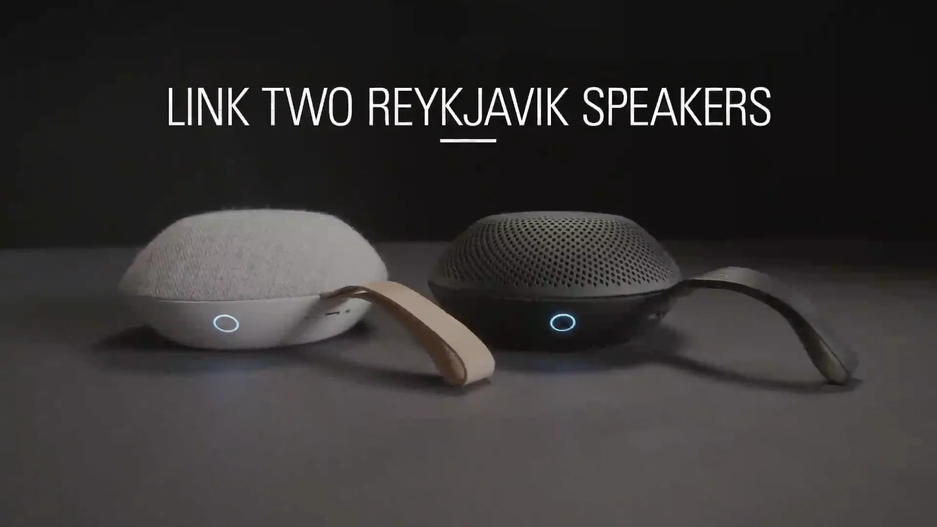 REYKJAVIK（レイキャビク）　Vifa　Bluetoothスピーカー Amazon.com: Vifa Reykjavik Bluetooth Speaker - Portable