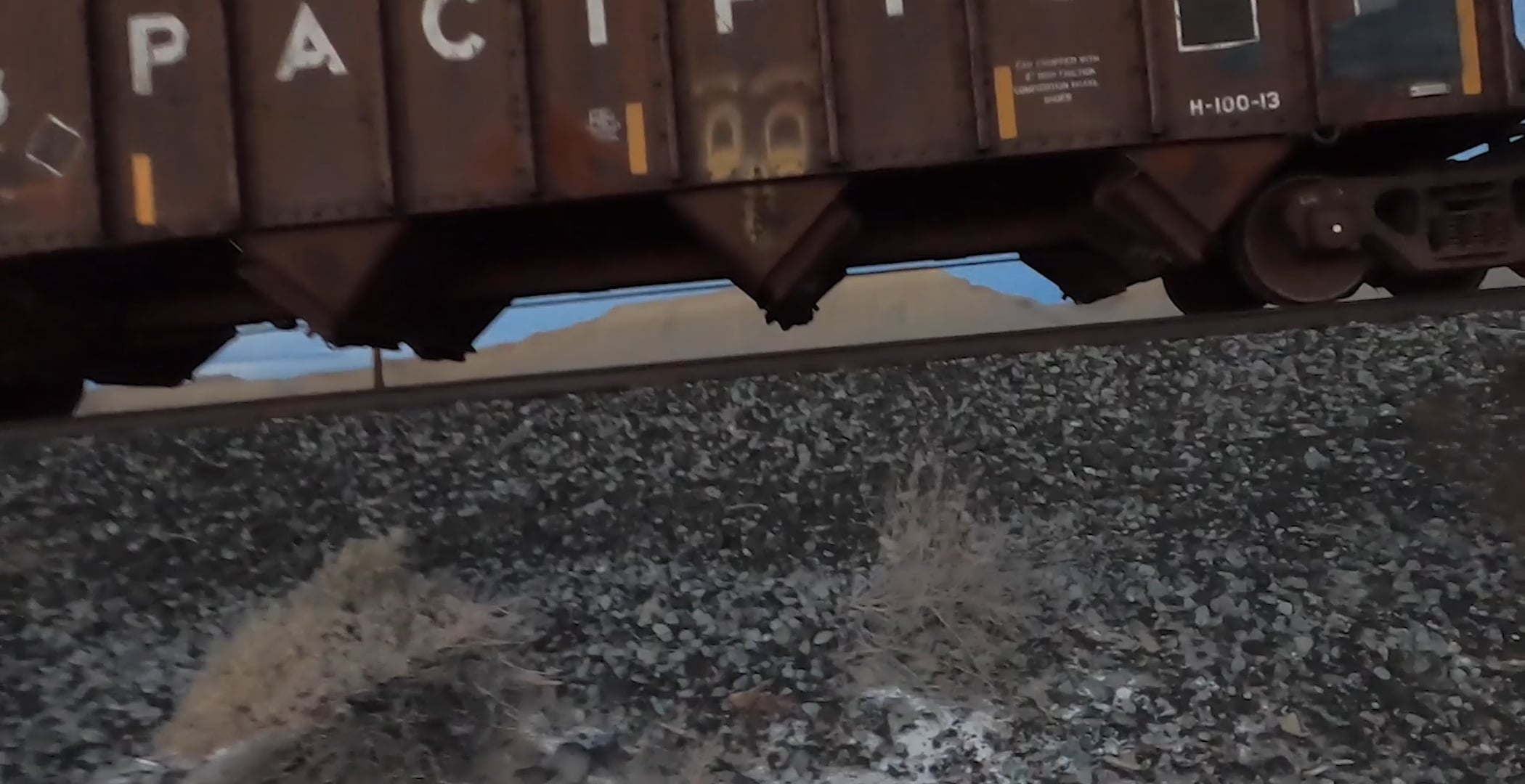 PETER SUTHERLAND — Spazio Maiocchi