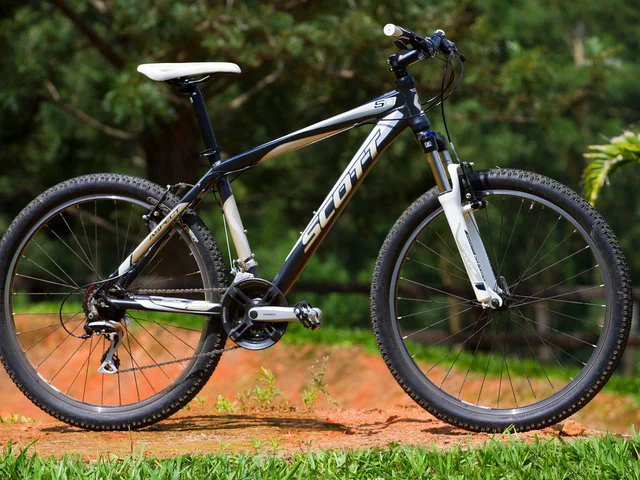 Scott 2025 aspect 50