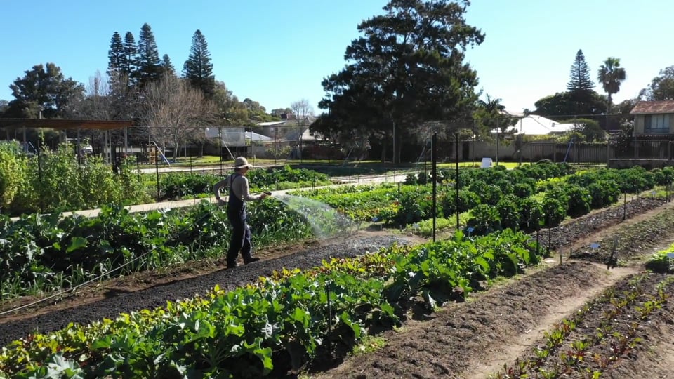 North Fremantle Social Farm