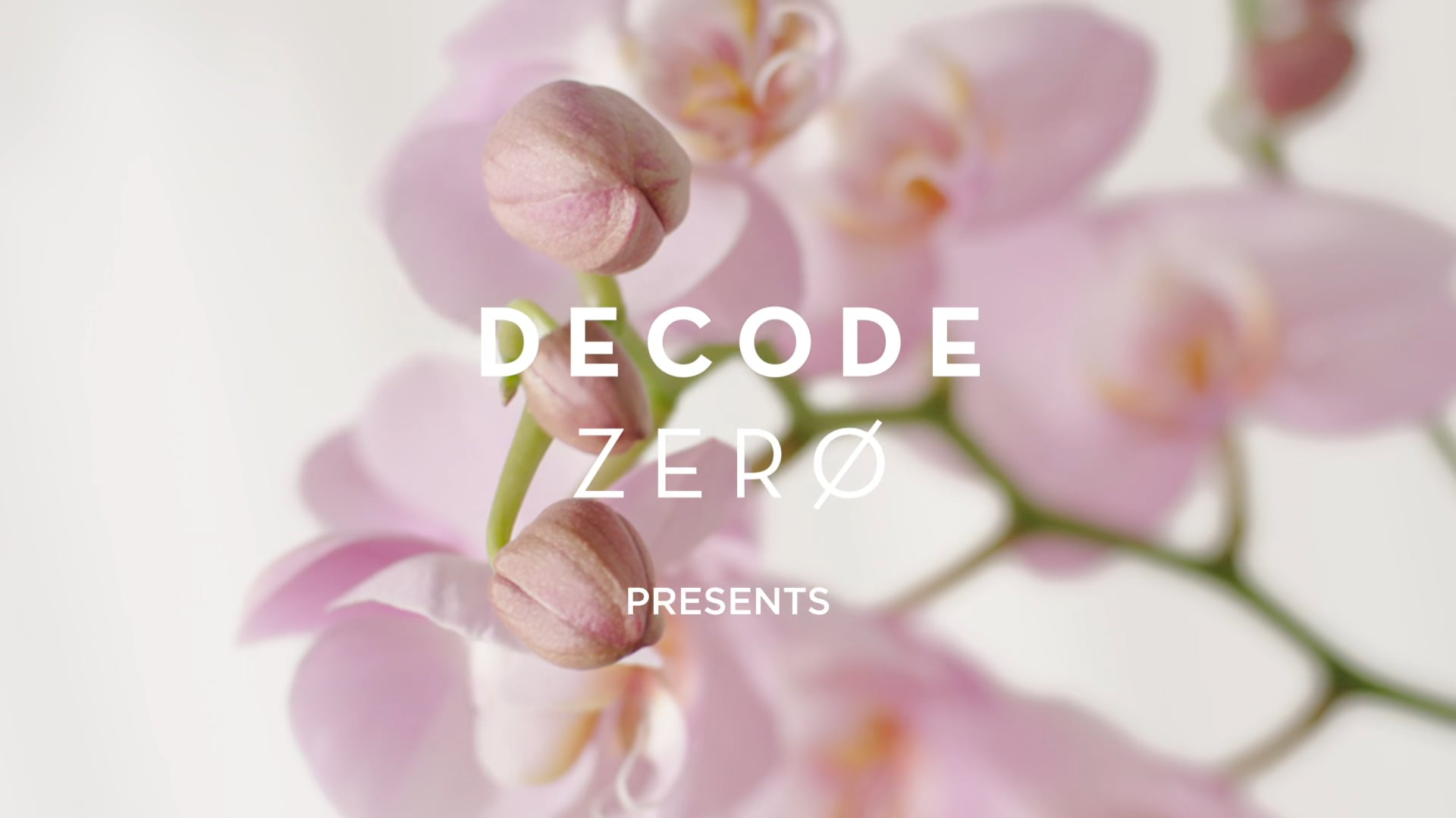 MONTIBELLO - DECODE zero