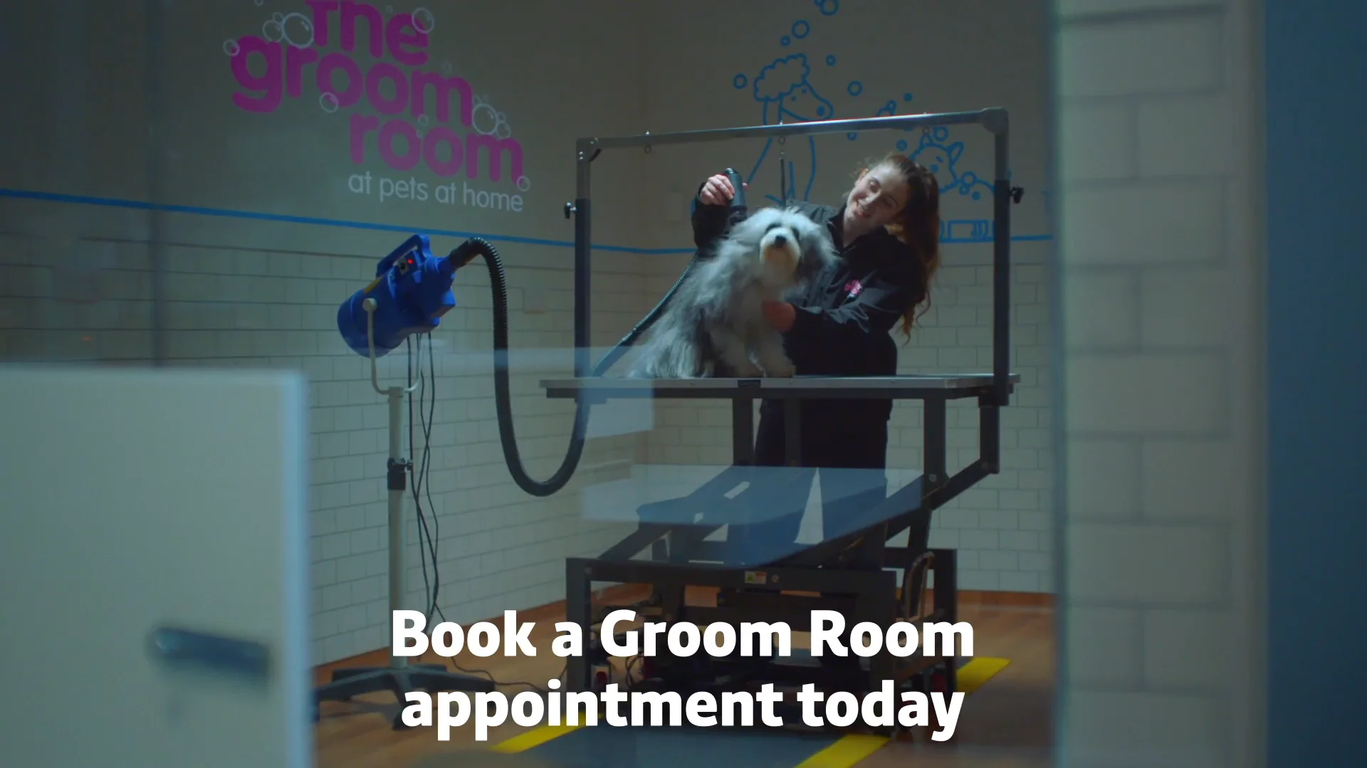 Pets at home store groom room booking