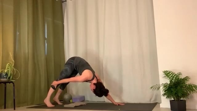 Yoga // Forrest Inspired Flow Through Suns to Wake-Up + Connect // 55 min