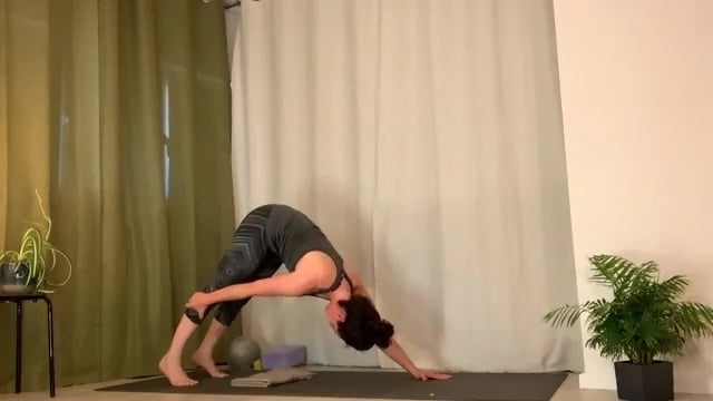 Yoga // Forrest Inspired Flow Through Suns to Wake-Up + Connect // 55 min