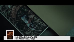 Cruesa i realitat a les sales de cinema