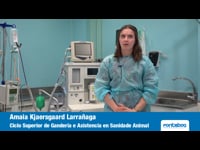 Salidas profesionales