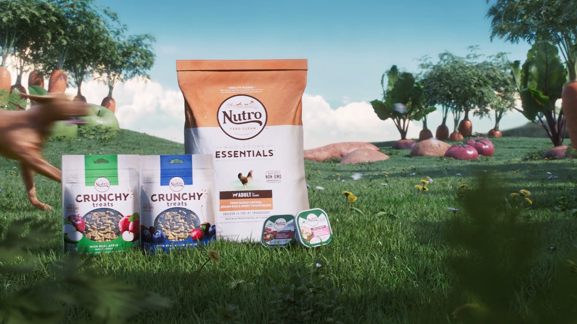 Nutro_Commecial