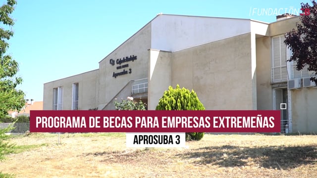 Programa de Becas para Empresas Extremeñas - Aprosuba 3