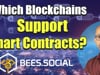 Which Blockchains Support Smart Contracts