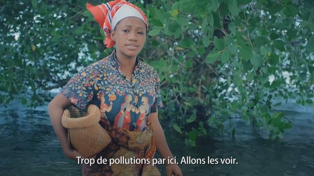 Une pêche aux abois dans nos mangroves - Vidéo ePOP