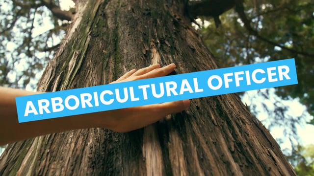 Arboricultural officer video 3