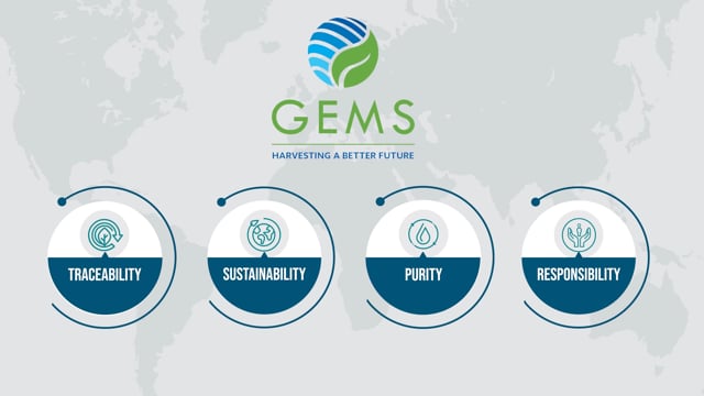 GEMS:  Valensa’s Approach to Supply Chain Management