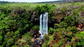 waterfall, cascade, trees