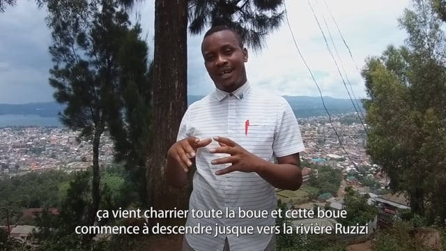 Des arbres au courant - Vidéo ePOP