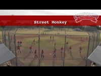 Preview Video #1